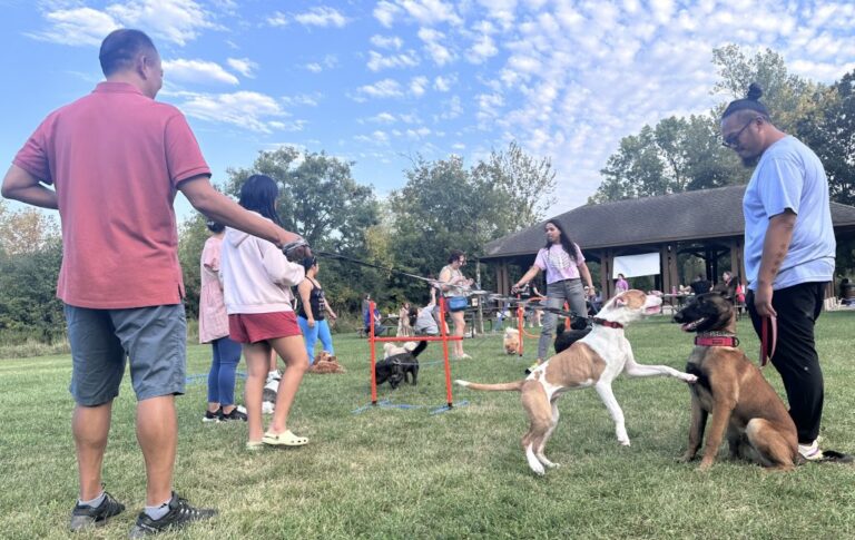 Area residents developing pet owners app: 'A forum to reduce the social isolation of people and pets'