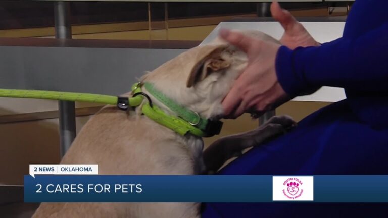 2 Cares for Pets Lance – YouTube