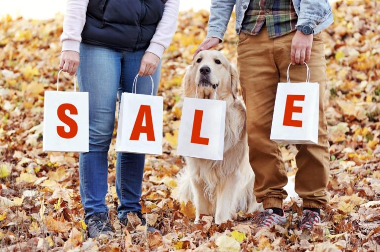 Save Big on Early Black Friday Deals for Dogs – iHeartDogs.com
