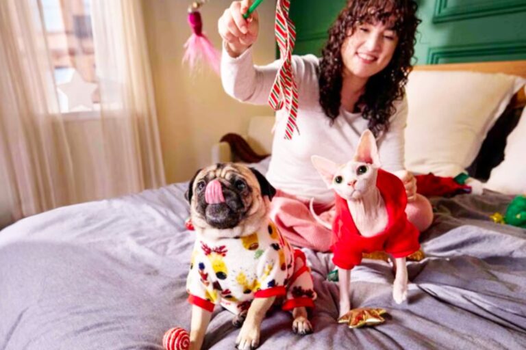 These deals on Saturday, November 8 really are paw-some – TAG24