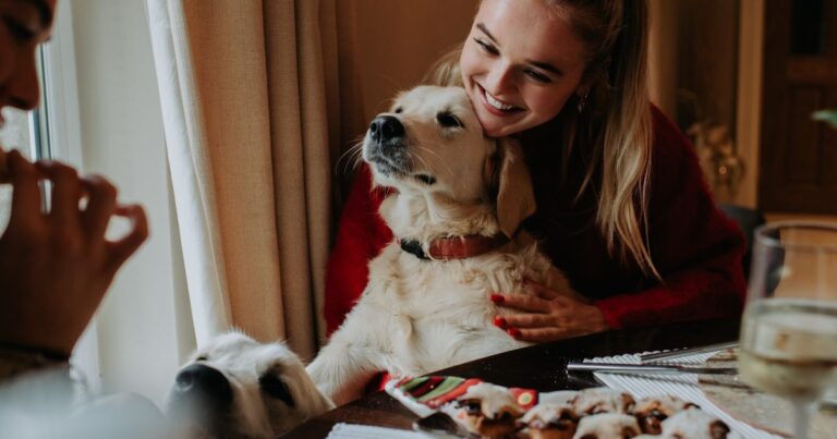 Dog owners urged to follow simple Christmas rule or risk pet's life – Daily Record