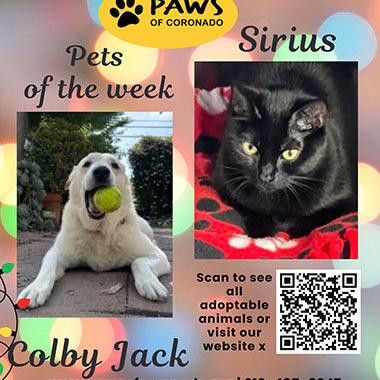 PAWS Pets-Of-The-Week | Coronado City News | coronadonewsca.com