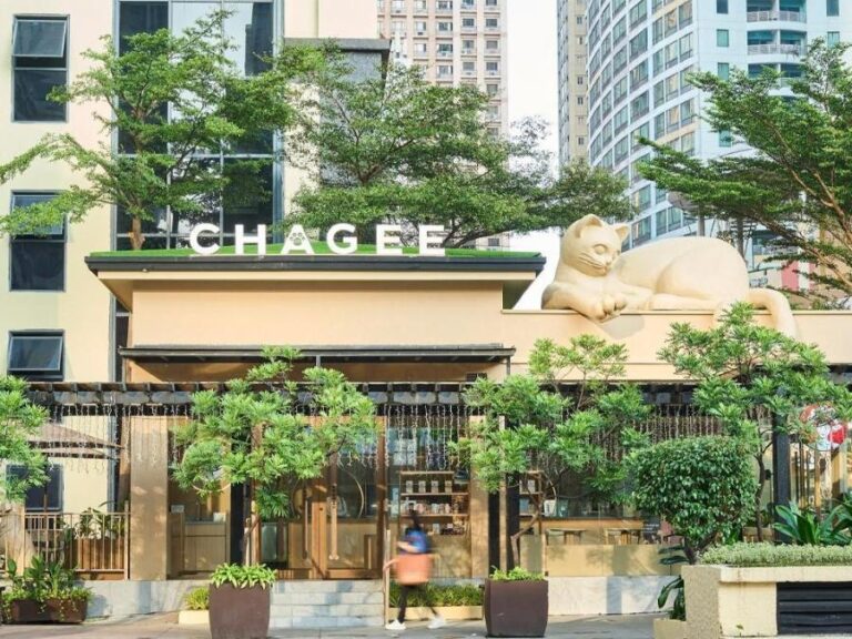 This milk tea shop redefines pet-friendly spaces – GMA Network