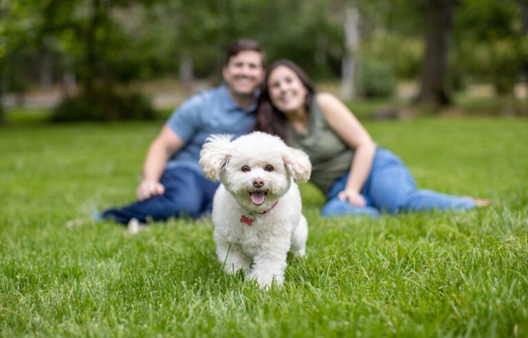 San Diego Magazine's 2025 Cutest Pets Winners