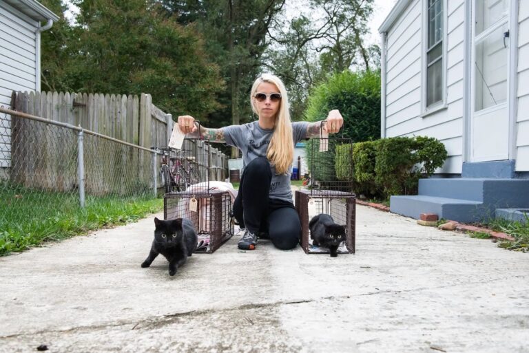 Meet San Diego's Viral “Kitten Lady" Rescuing In-Need Cats