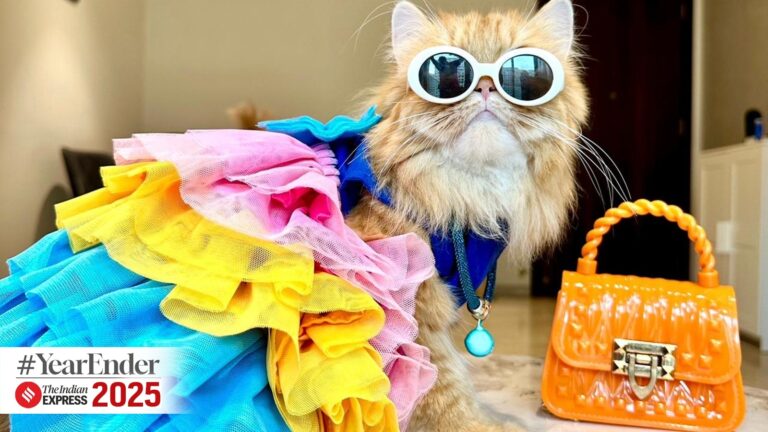 Yearender 2025: Pet influencers steal spotlight and hearts this year – The Indian Express