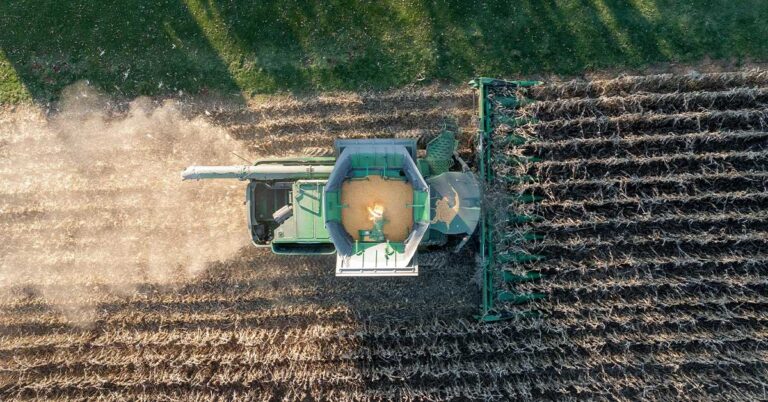 EPA Unleashes New 'Forever Chemical' Pesticides Despite Mounting Health Fears