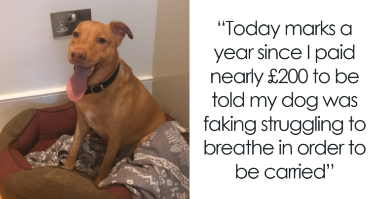 People Are Loving This FB Account That Shares Animal Memes And Here Are 79 Of The Best