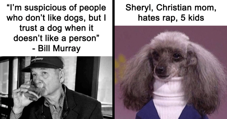 If You're Feeling Heavy Today, Here Are 53 Adorable And Lighthearted Animal Memes