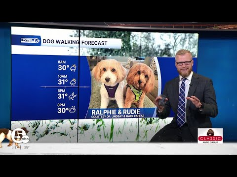 Dog Walking Forecast: Slushy paws today… I'm tracking snow – YouTube
