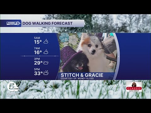 Meet Stitch and Gracie! – YouTube