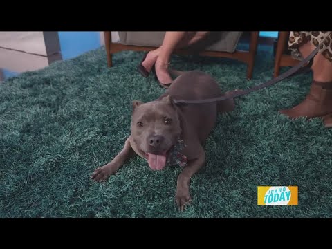 Gabby is full of holiday cheer and joy – YouTube