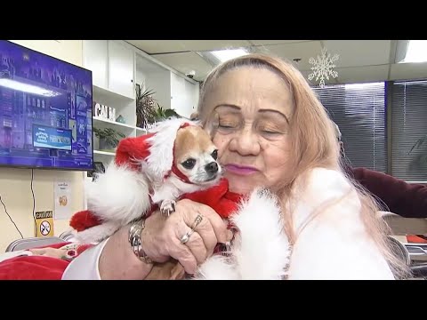 Senior Paws delivers gifts to seniors in need and their pets this holiday season – YouTube