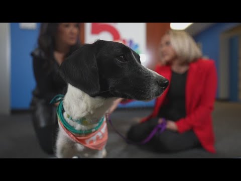 Sammy's Stars: Dec. 12, 2025 – YouTube