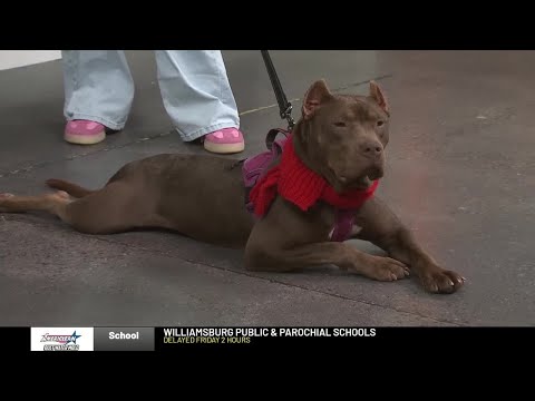 Everyday Iowa – Chappell is ready to find a home this holiday season – YouTube