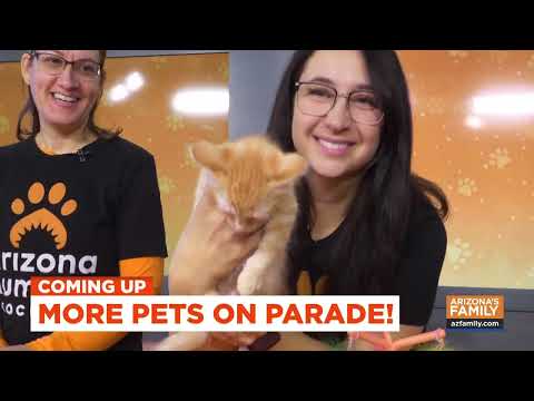Pets on Parade (Full Episode) December 13, 2025 – YouTube