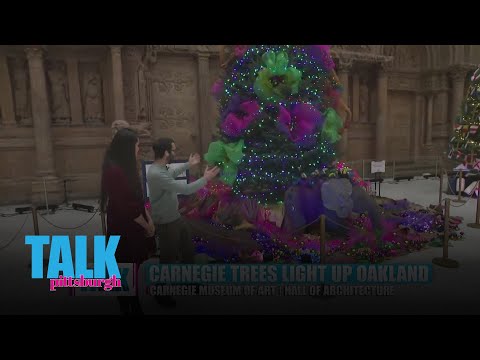 Boaz is talking trees – YouTube