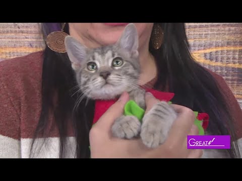 ADL | Great Day SA – YouTube