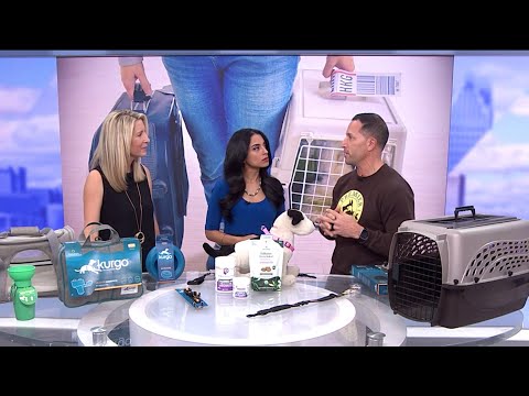 Traveling this holiday season? How to prepare your pets for the trip – YouTube