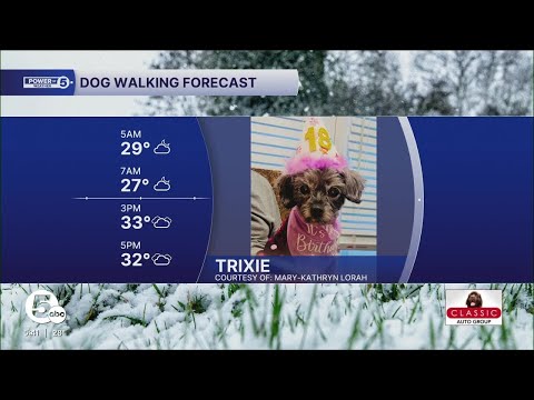 Meet Trixie! – YouTube