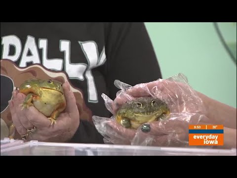 Everyday Iowa – Toadally Awesome Pets – YouTube