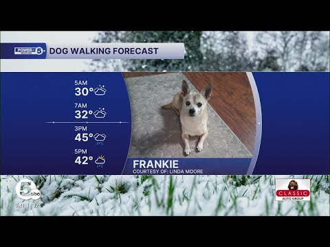 Meet Frankie! – YouTube