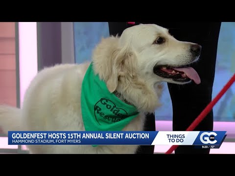 GoldenFest at Hammond Stadium offers fun for golden retriever fans – YouTube