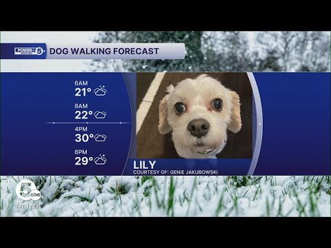 Meet Lily – YouTube