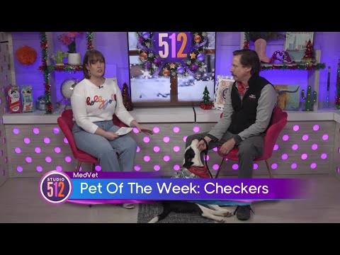 MedVet Pet Of The Week: “Checkers”, From Texas Humane Heroes – YouTube
