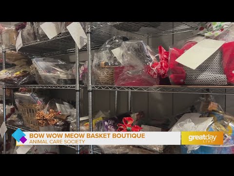 GDL: Shop the Bow Wow Meow Boutique at Animal Care Society – YouTube