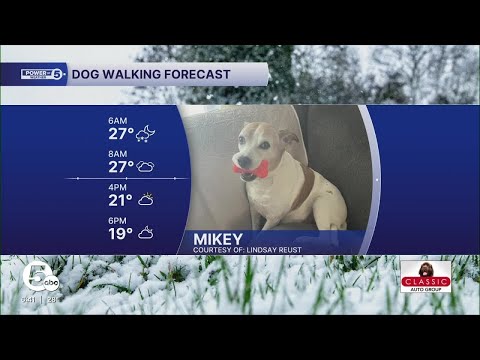 Meet Mikey – YouTube