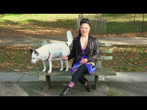 'Chicago' Cast Member Kristen Faith Oei Introduces Her Puppy Pal, Easter – YouTube