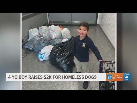 4-year-old boy raises $2,000 for homeless dog – YouTube