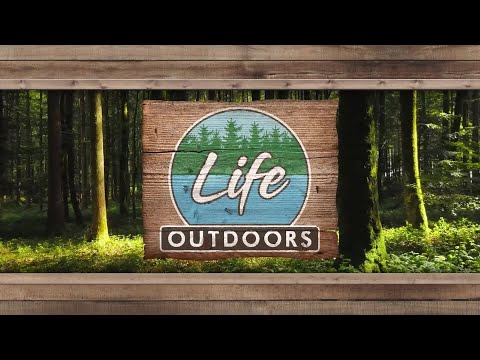 Dog Agility | Life Outdoors – YouTube