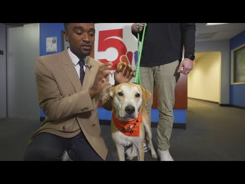 Sammy Stars: Dec. 5, 2025 – YouTube