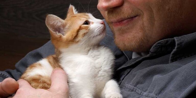 Man's inability to control himself over his new kitten's cuteness is beyond relatable