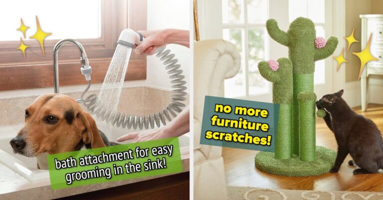 27 Pet Products From Chewy That I Honestly Believe Were Invented By Geniuses