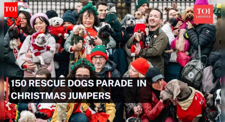 Over 150 rescue dogs spread Christmas cheer in London parade | – The Times of India