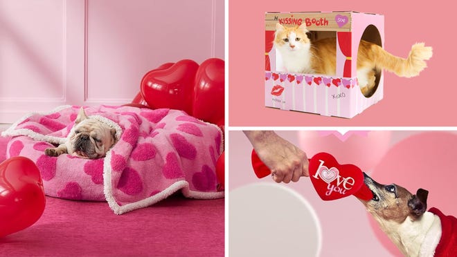 Your fur babies also deserve gifts this Valentine's Day! – USA Today