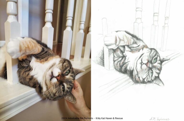 Adorkable Pet Portraits fundraiser returns for Kitty Kat Haven – HooverSun.com