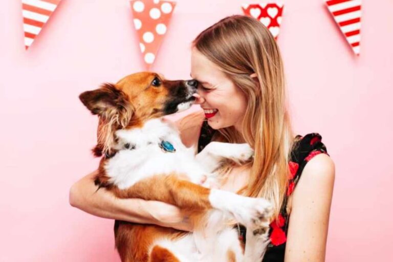 Your pet will love you even more with these amazing Chewy goodies – TAG24