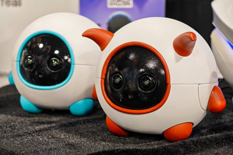 This robot companion is a cameraman for your pet | The Verge