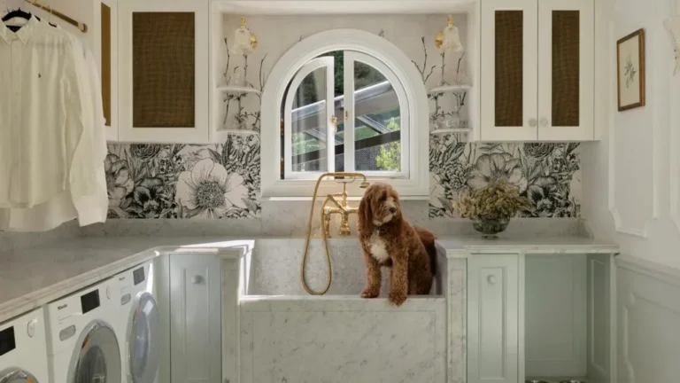 Dog Friendly Home Architecture For A Life With Animals | Homes To Love