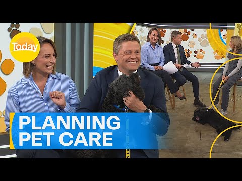 Finding the purr-fect vet for your pet! | Today Show Australia – YouTube