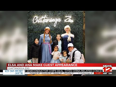 Chattanooga zoo welcomes special guests from Disney Animation's Frozen – YouTube