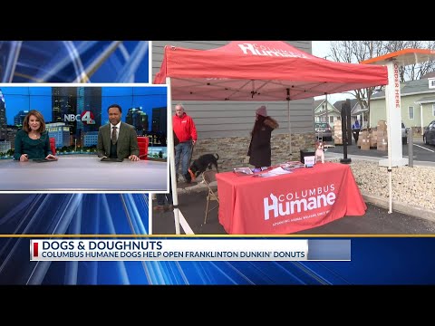Dogs and donuts team up in Franklinton – YouTube