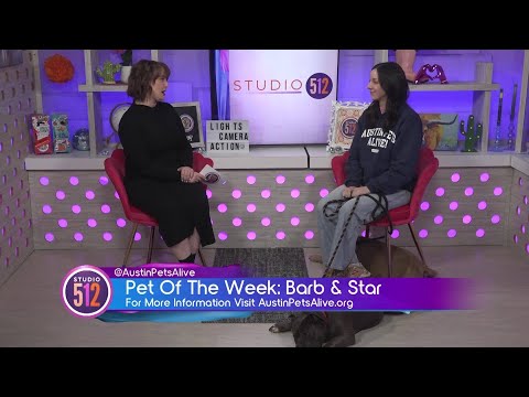 Pet Of The Week: “Barb”& "Star", From Austin Pets Alive! – YouTube