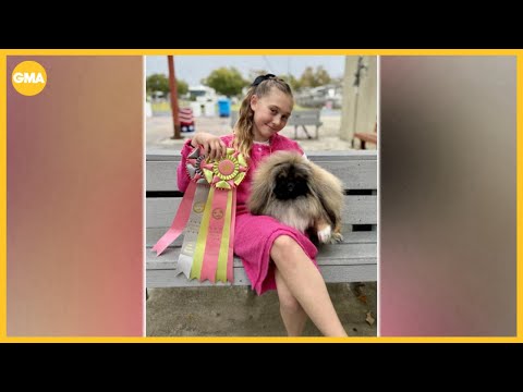 12-year-old girl to compete for best in show with her pooch – YouTube