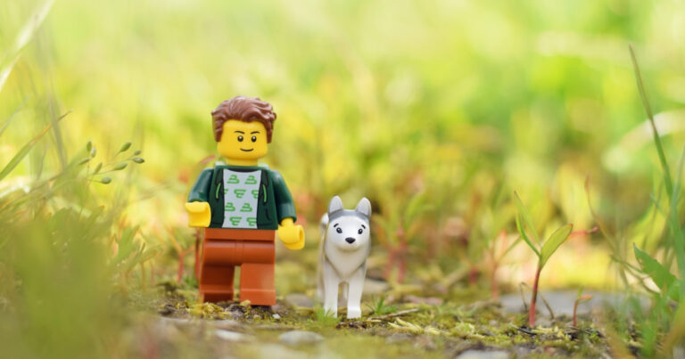 Lego's New Golden Retriever Puppy Build Is Perfect for Dog Lovers – PetHelpful