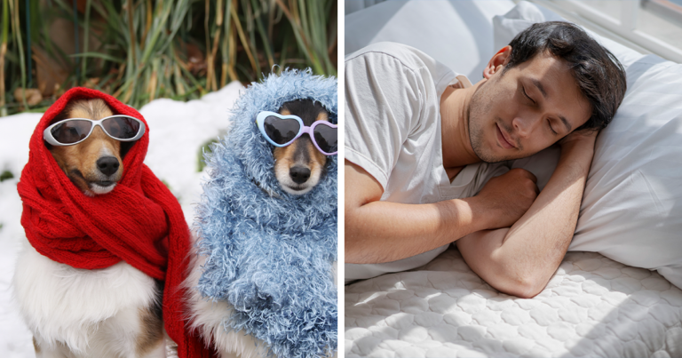 30 Pet Peeves That Instantly Divide A Room | Bored Panda